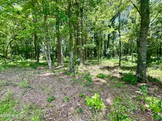 Lot 70 70 Winfield Lane, Belhaven, NC 27810 – photo 11: IMG_6680