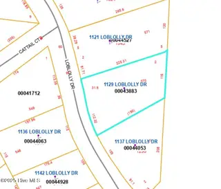 1129 Loblolly Drive, Vass, NC 28394 – photo 2: 1129 Loblolly lot