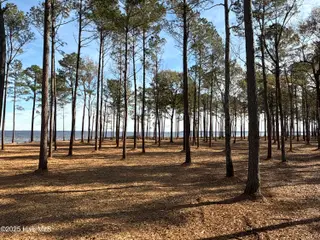 0 Norfleet Shores Road, Belhaven, NC 27810 – photo 18: IMG_0818 2