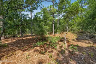 Lot 1 1 Sanders Road, Wilmington, NC 28412 – photo 6: SandersRoadLot-4