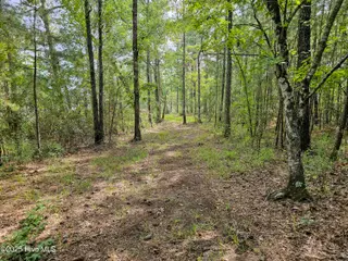 Lot 77 77 Mcgowan Road, Bath, NC 27808 – photo 9: 20250908_153636b