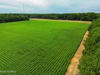 000 S Nc 581 Highway, Bailey, NC 27807 – photo 10: DJI_0219_pro