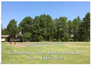 402 Longleaf Drive, West End, NC 27376 – photo 21: Community Center Basketball Court 7 L W
