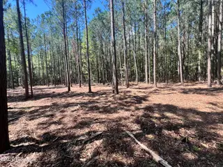 Lot 1 Elm Street, Belhaven, NC 27810 – photo 5: IMG_7297