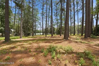 55 Apawamis Circle, Pinehurst, NC 28374 – photo 12: 17-web-or-mls-DSC04863