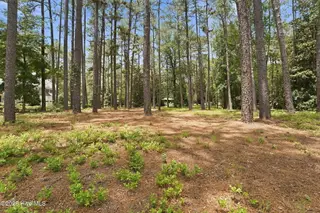 55 Apawamis Circle, Pinehurst, NC 28374 – photo 13: 18-web-or-mls-DSC04864