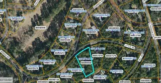 195 Little Road, Southern Pines, NC 28387 – photo 4: GISMiddleZoom