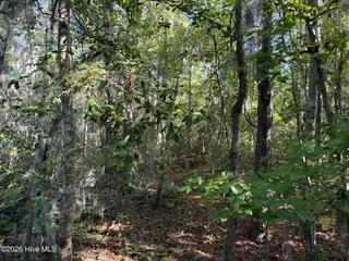 0 17 Eagle View Lane, Blounts Creek, NC 27814 – photo 1: 001 Main View 0 Eagle View Ln