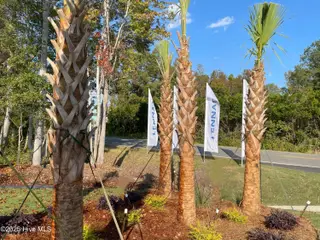 3374 Wood Stork Drive Litchfield Il Lot 39, Ocean Isle Beach, NC 28469 – photo 13: bIaBBEpQ