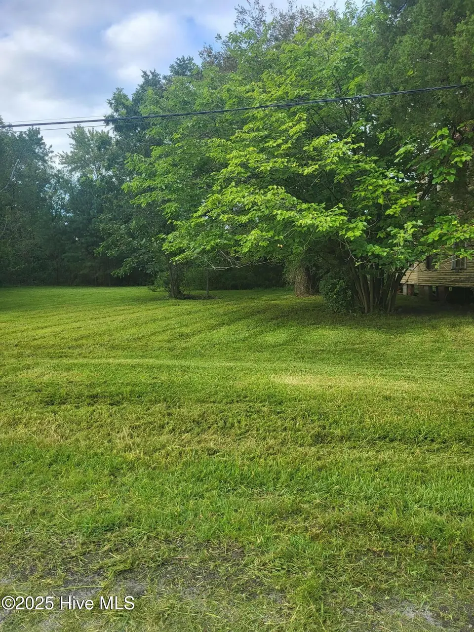 1 Lot N/S Pungo Parcel #29832 Street, Belhaven, NC 27810 – photo 1 of 1: Pungo Street lot2