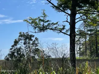 239 98 Garbacon Drive, Beaufort, NC 28516 – photo 7: IMG_4445 Large