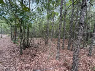 2162 Old Pamlico Beach Road W, Belhaven, NC 27810 – photo 3: IMG_4504