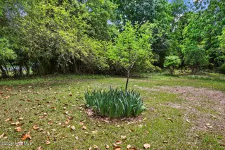 2213 Hunter Hill Road, Rocky Mount, NC 27804 – photo 9: 06-2213 Hunter Hill Rd-6