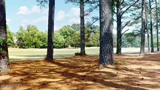 210 Mourning Dove Lane, Goldsboro, NC 27534 — 3-bedroom home in Deerwood, Goldsboro, NC, photo 12 of 64: JM-210-Mourning-Dove-Lane-04262026_13334