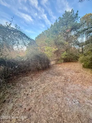 56 Riegel Drive, Hubert, NC 28539 – photo 6: IMG_5107