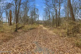 00 E Fayetteville Street, Micro, NC 27555 – photo 10: 17-E Fatetteville St-17