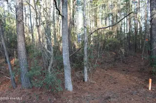 145 Heron Drive, Havelock, NC 28532 – photo 9: Property Corner, Path to Water