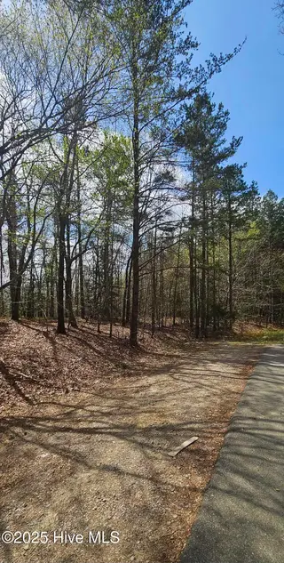 Lot 4 Leaman Road, Robbins, NC 27325 – photo 5: Leaman Rd