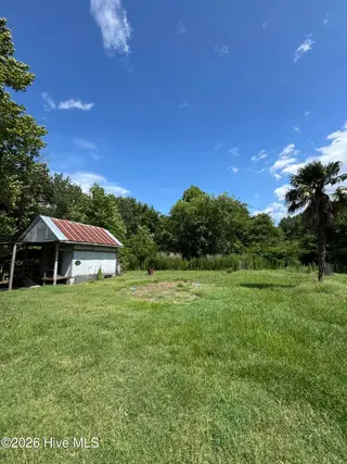 501 Ruskin Road, Dudley, NC 28333 – photo 18: 18_beyc6a3c438479149