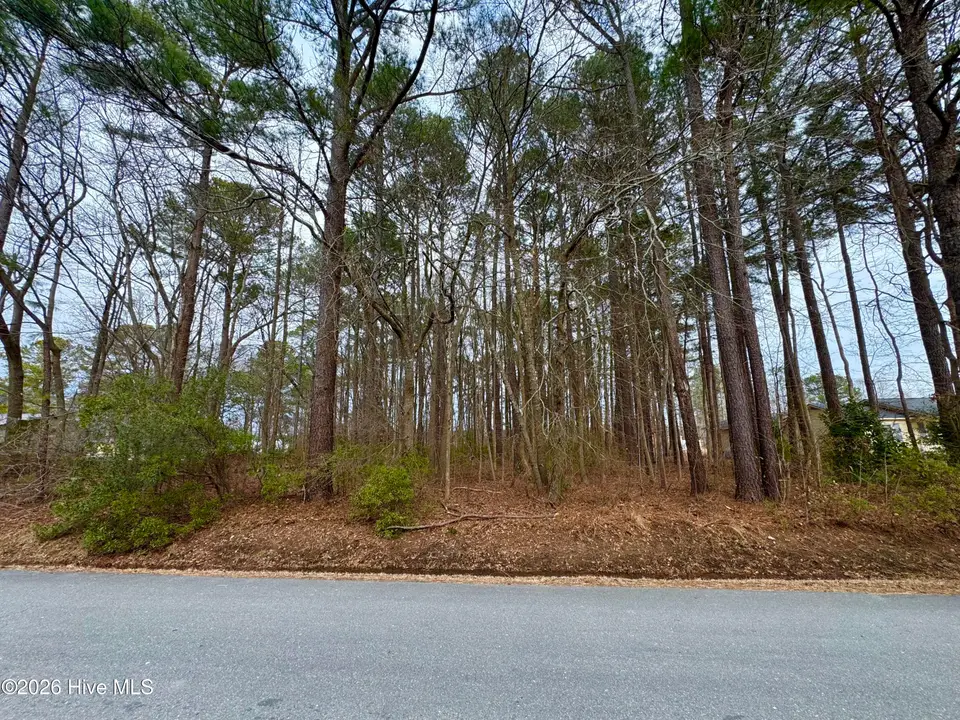0 Lincoln Drive, Kenly, NC 27542 – photo 1 of 7: Photo Feb 06 2026, 3 25 08 PM