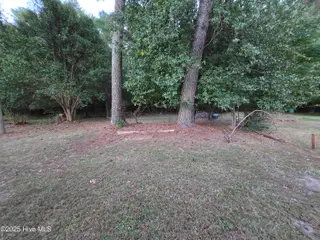 1657 Harper Street, Rocky Mount, NC 27801 – photo 8: Back Yard