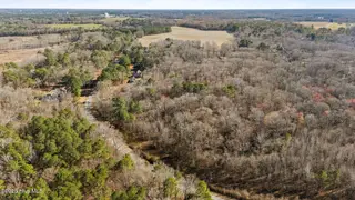 104 Briarwood Court, Tarboro, NC 27886 – photo 16: 16-web-or-mls-DJI_20250217143127_0677_D