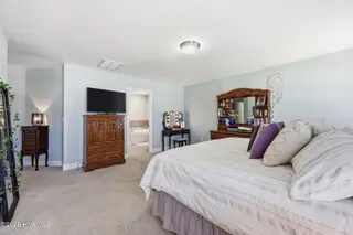 2236 Birch Hollow Drive, Winterville, NC 28590 – photo 19: Primary Suite BedRoom