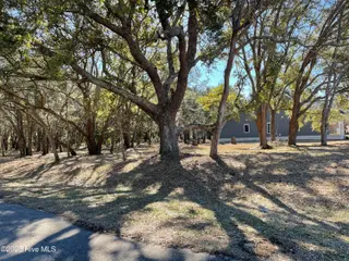 1205 Barkentine Drive, New Bern, NC 28560 – photo 1: Beautiful Live Oaks