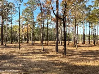 0 Norfleet Shores Road, Belhaven, NC 27810 – photo 11: IMG_0811 2