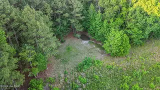 0 Pendergrass Drive, Princeton, NC 27569 – photo 6: 10-Quarterhorse Rd-10