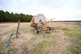 1535 Maul Swamp Road, Vanceboro, NC 28586 – photo 18: DSC_1458