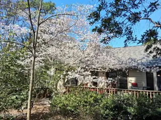 9123 Sedgley Drive, Wilmington, NC 28412 – photo 23: Resized95image000000(7)