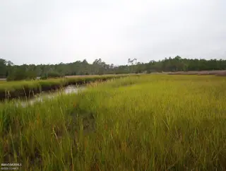 0 N River Road, Beaufort, NC 28516 – photo 1: North River