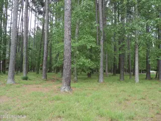 Lot 53 W Fairway Drive, Washington, NC 27889 – photo 2: 002 Additional View