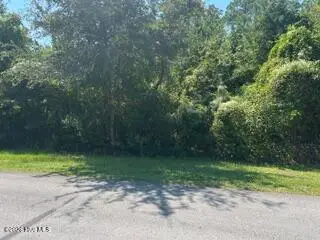5705 425 Gondolier Drive, New Bern, NC 28560 – photo 2: IMG_0850