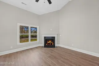 2412 Starling Lane, New Bern, NC 28562 – photo 12: Corner Fireplace