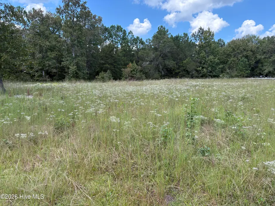 830 1 Benton Road SE, Bolivia, NC 28422 — lot, Bolivia, NC, photo 1 of 5: IMG_4356