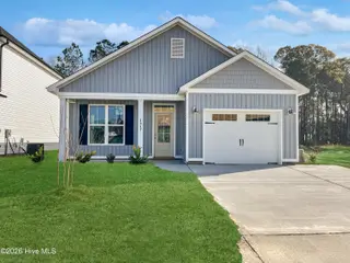 45 Bristol Bay Drive, Lake Waccamaw, NC 28450 – photo 1: Palm Architectural Style
