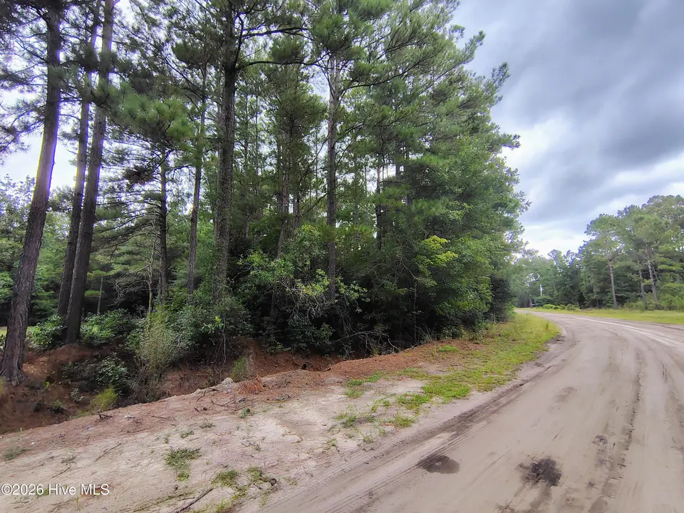 Lot 45 45 Near 519 Deer Lane, Tabor City, NC 28463 – photo 1 of 12: IMG_20260830_144431014_HDR_AE