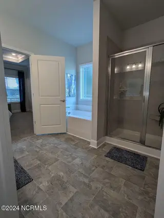 1491 Pecan Drive Model Home, Nashville, NC 27856 – photo 19: primary shower and tub