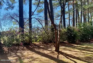 4803 Andrew Jackson Highway SW, Chadbourn, NC 28431 – photo 14: 20240808213549651794000000-o