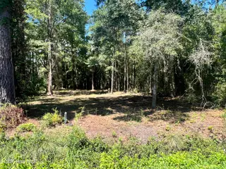 Lot 3 Elm Street, Belhaven, NC 27810 – photo 3: IMG_7291