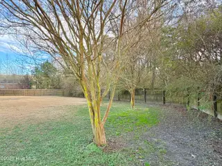 207 Dogwood Estates Lane, Goldsboro, NC 27534 – photo 10: IMG_3236 (1)