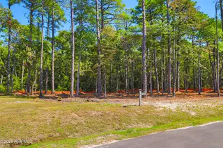 420 Summer Duck Drive, Beaufort, NC 28516 – photo 3: 420 Summer Duck Drive, Lot 349