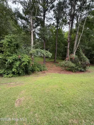 126 Deer Walk Lane, Tarboro, NC 27886 – photo 20: IMG_0133