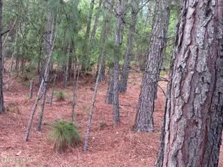 111 Callis Circle, West End, NC 27376 – photo 14: IMG_4818 2