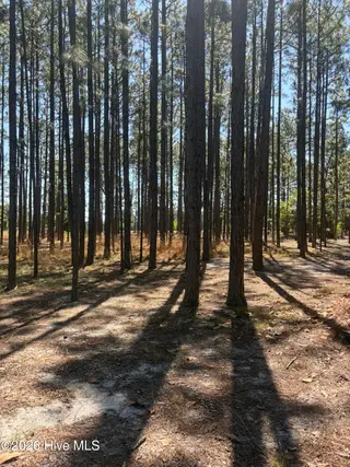 5324 Us 1 Highway, Vass, NC 28394 – photo 19: IMG_0085