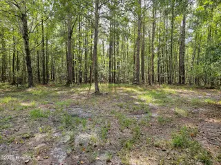 Lot 77 77 Mcgowan Road, Bath, NC 27808 – photo 8: 20250908_152624b