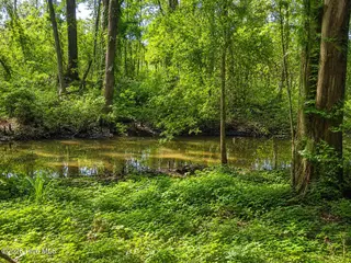 1209 Brices Creek Road, New Bern, NC 28562 – photo 7: 1209 Brice's Creek Back 2