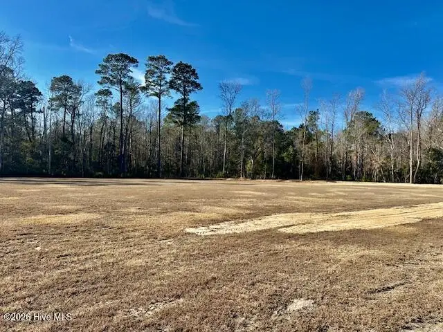 3678 New Britton Highway E, Whiteville, NC 28472 – photo 1 of 8: land